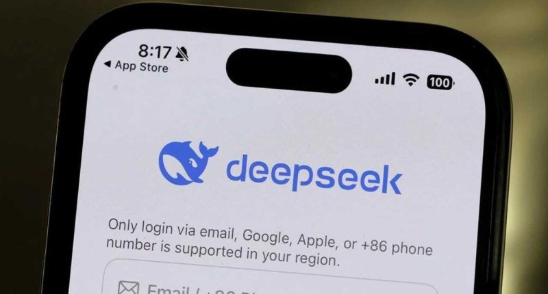 deepseek uygulaması, deepseek ios, deepseek kişisel veri