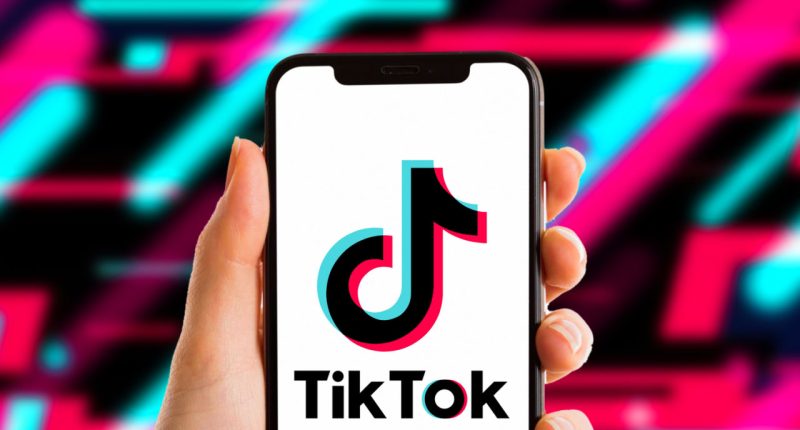 TikTok telefon abd