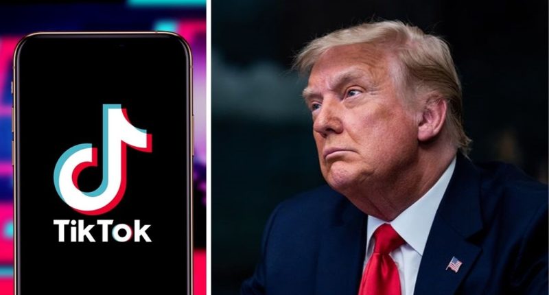 TikTok Trump ile ilgili bazı içerikleri kaldırıyor